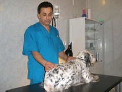 ������������ ������� �����������