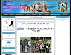 ���� ���� � �����������